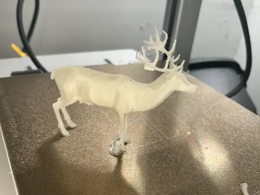 Mule Deer