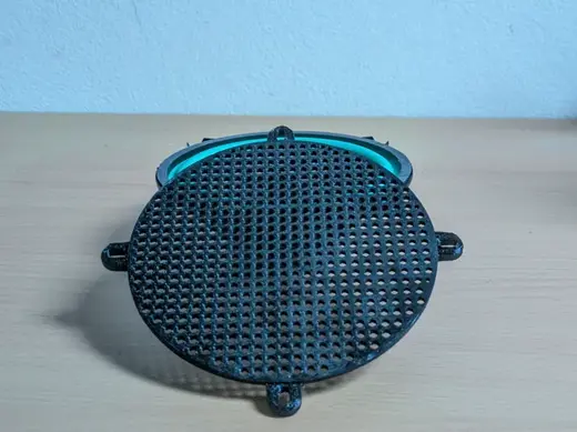 speaker protector