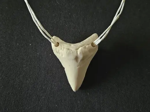 Dinosaur Megalodon shark tooth necklace