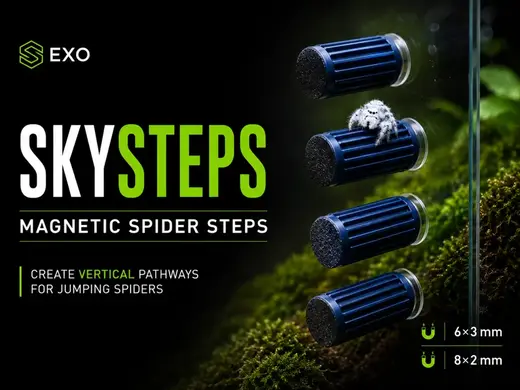 Exo SkySteps – Magnetic Steps for Jumping Spiders