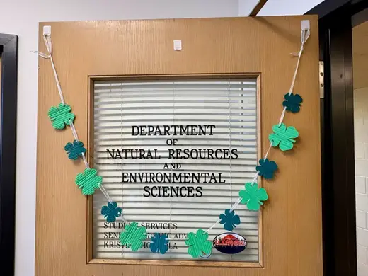Saint Patrick's Day Shamrock Garland