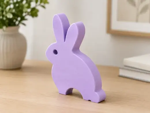 BunnyLoop Toy