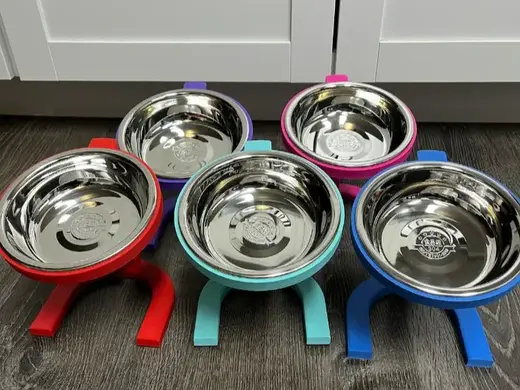 Raised Cat Pet Food Bowl - Custom Name