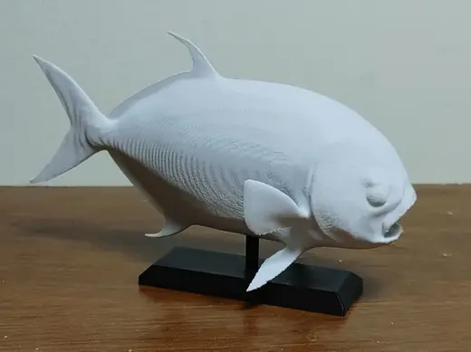 Permit Fish Mount