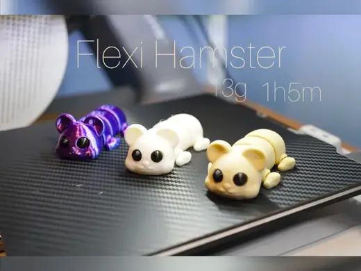 Flexi Hamster (NO AMS) (NO SUPPORTS)