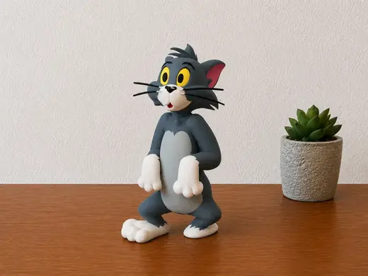Tom Of Tom And Jerry