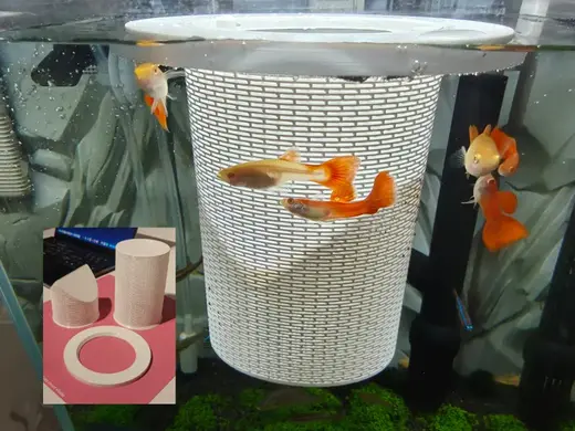 鱼缸 漂浮 隔离屋 孔雀鱼繁殖器 无需支撑