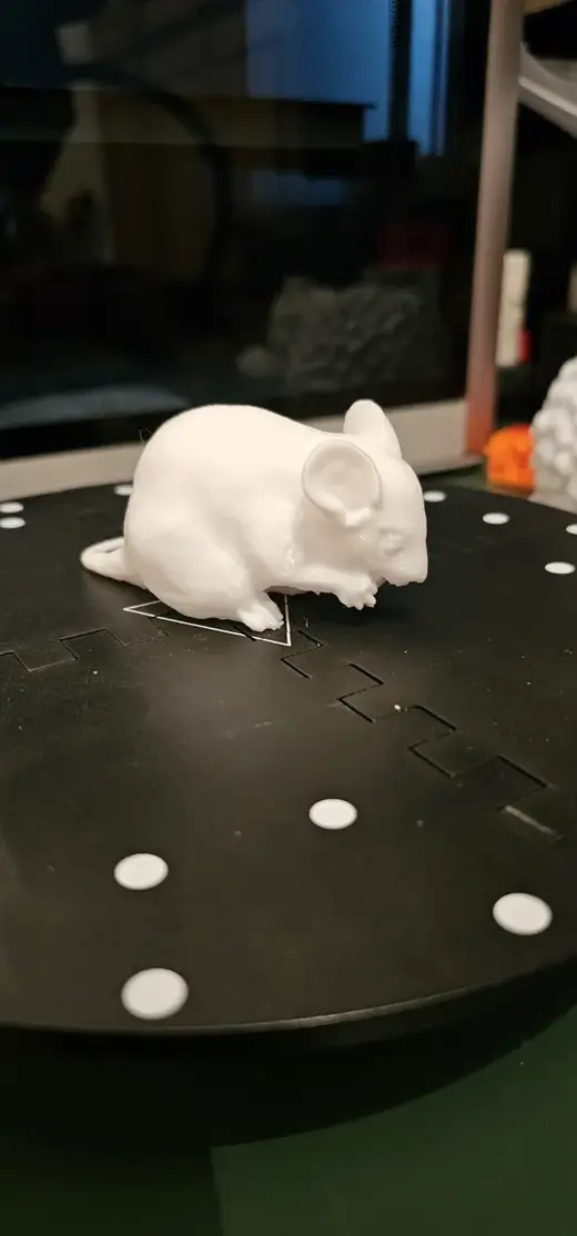 little mouse
