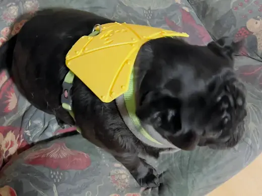 PugMour — Fun Armour Add-ons for Pug Harnesses