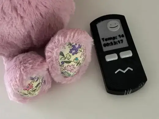 Neonate doll baby monitor