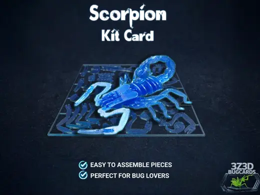 Scorpion Bug Kit Card - BugCards