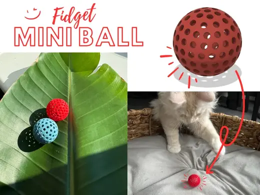 Cat Fidget Toy - Mini Ball edition