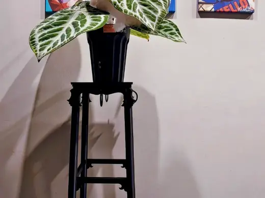 新中式模型手办(植物)展示架