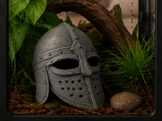 Medieval Knight Helmet Hide