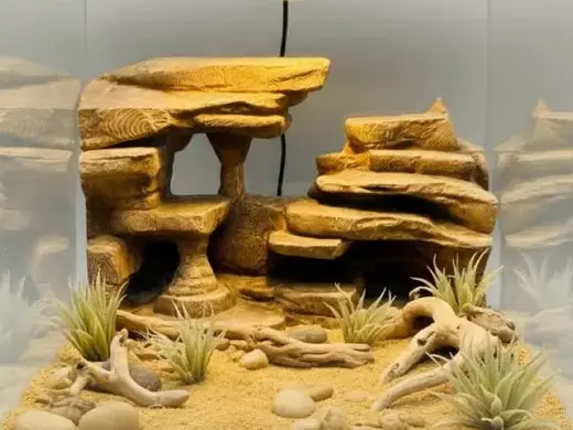 3D-Rückwand (Rocky Savannah)