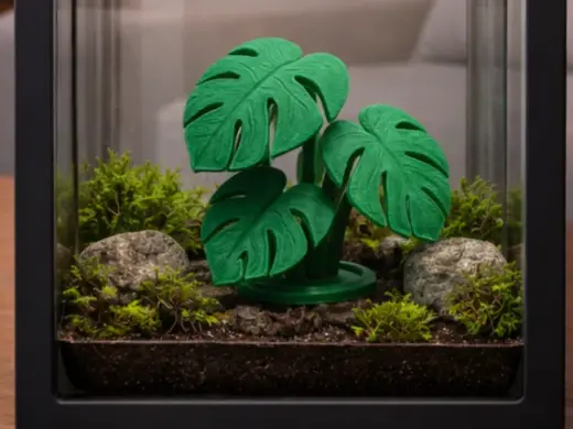 Monstera Leaf Cluster – Tropical Terrarium Plant
