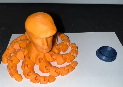 Trumptopus Insert for Magnet
