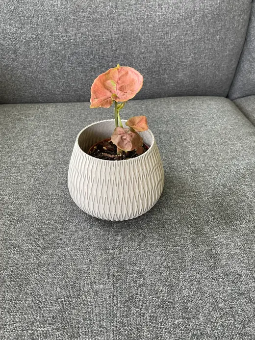 Plant Pot Double Striped