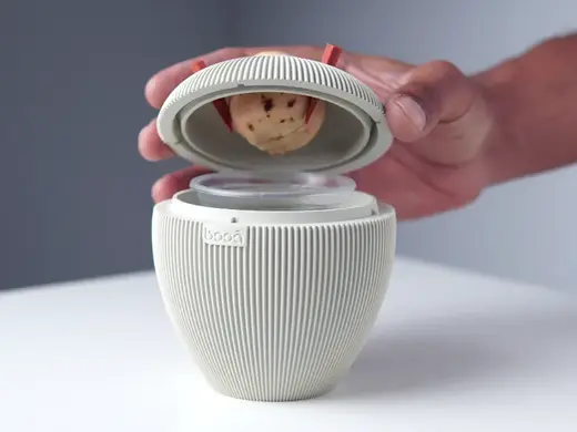Avocado Seed Starter Vase Modern Pit Grower | AK01