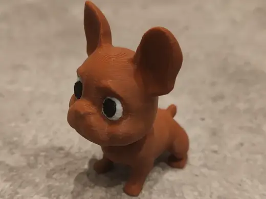 French bulldog puppy