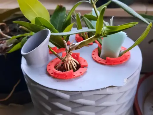 PlantingPot - Pflanzen vermehren - 4 gleichzeitig