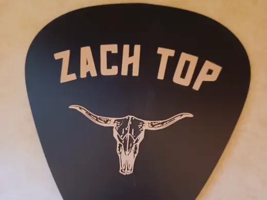 Zach Top Guitar Pick Wall Art