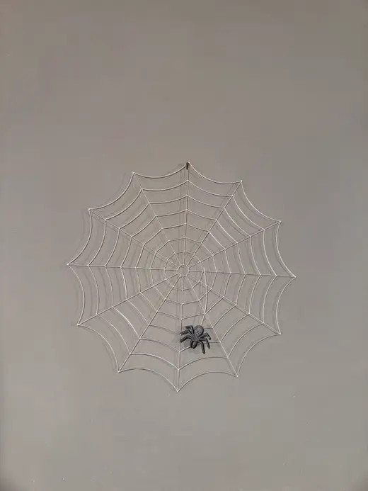 Spiderweb 0.2mm nozzle