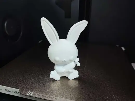 抱着萝卜的小白兔