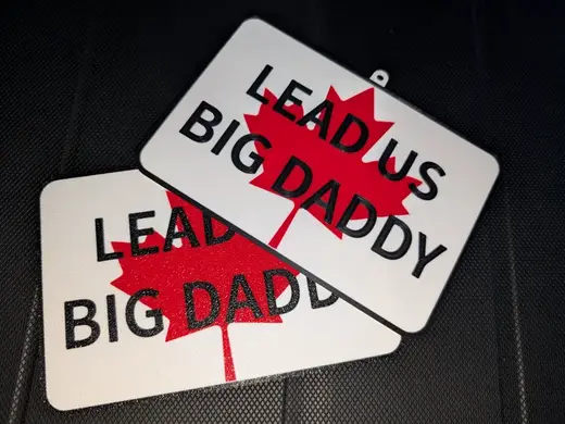 Lead Us Big Daddy sign