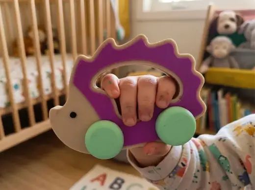 Rolling Hedgehog Sensory Rattle