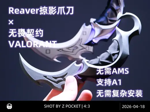 Reaver掠夺瓜刀/掠影爪刀【无畏契约VALORANT】