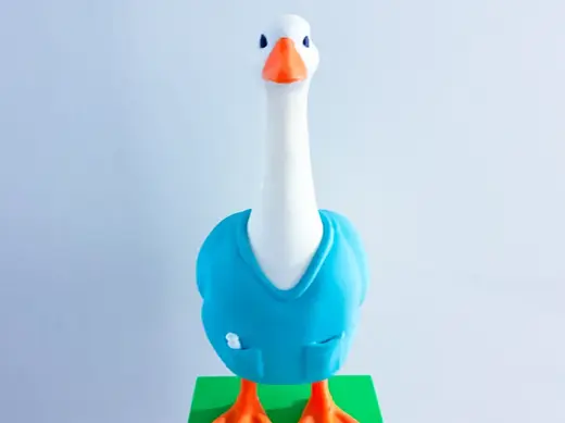 Scrub Top Desk Goose Gear