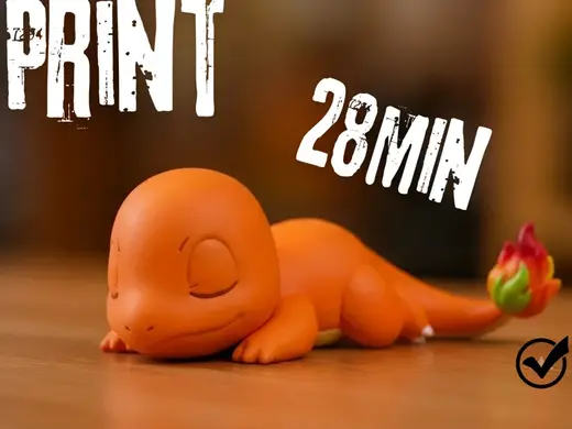 Little Sleep Charmander