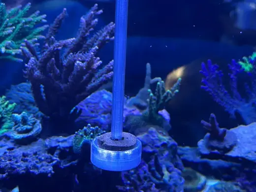 Marine Grazer Futterringhalter für Glassteg