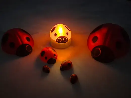 Translucent Ladybug toy / decoration