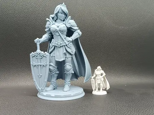 Sword Shield Warrior Dual-Ward Champion RPG D&D