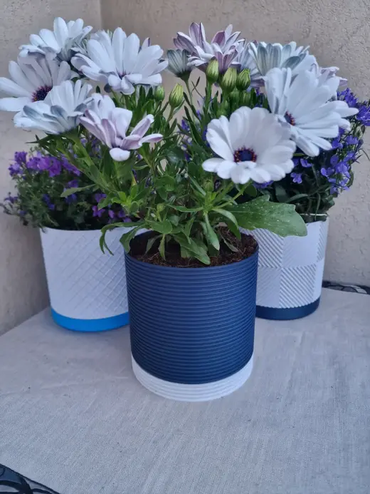 Geometric Vase, Orizontal Line With Hidden Saucer