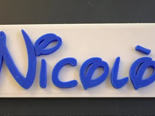 Calamita Nicolò Disney