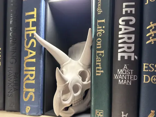 Triceratops Skull Book Nook Prehistoric Dinosaur
