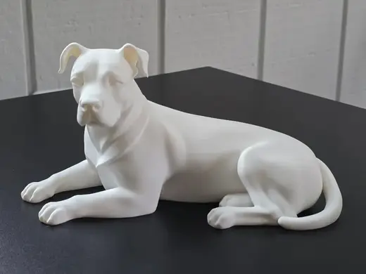 American Pit Bull