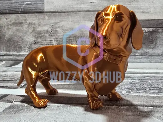 Dachshund alerted dog model