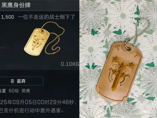 三角洲行动黑鹰身份牌