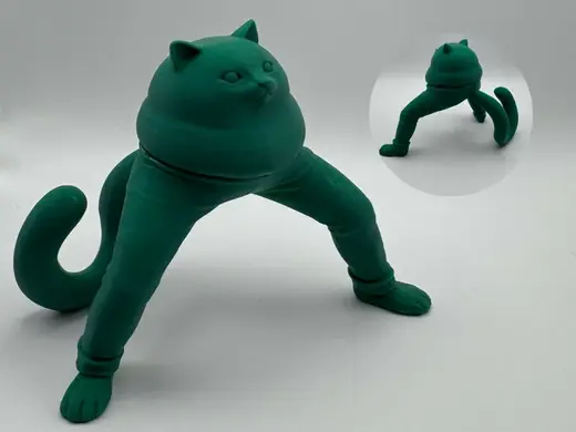 Weird Fat Cat – Strange Meme Kitty