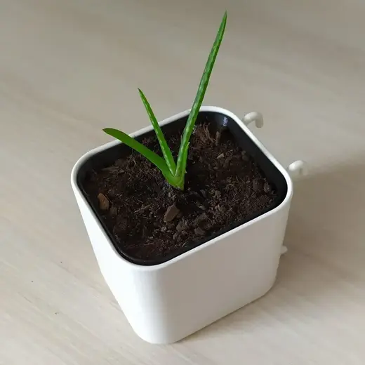Ikea Skadis planter pot