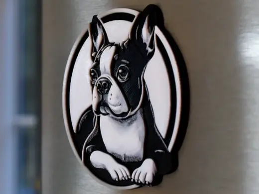 Boston Terrier Magnet