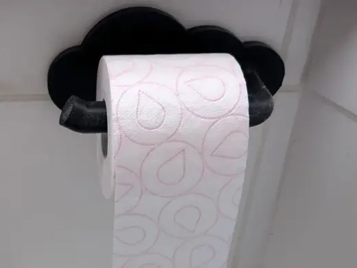 Toilet Paper Holder Cloud with mount