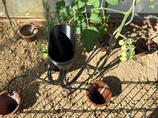 Gemüse Gießer Giessen Water Plants Tomaten Wasser