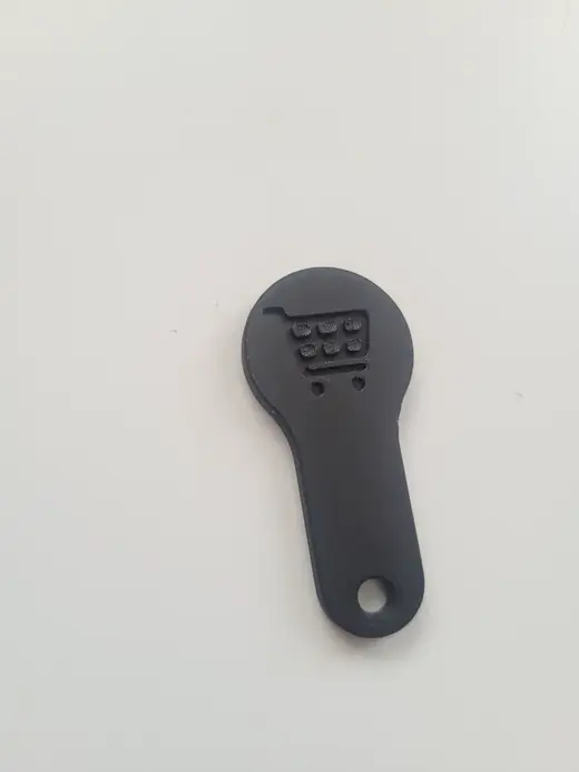 Shopping cart coin