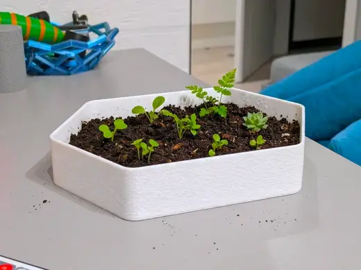 The 70g Seed Starter Efficient & Sturdy Planter