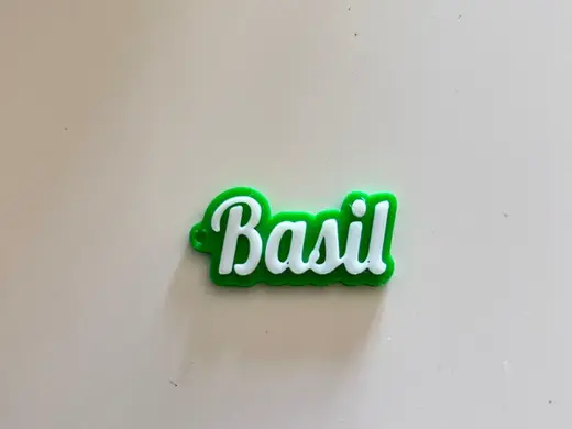 Basil name keychain
